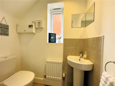Picture 7
